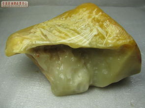 05欢乐拍一拍 精品大芙蓉原石探秘与收藏价值