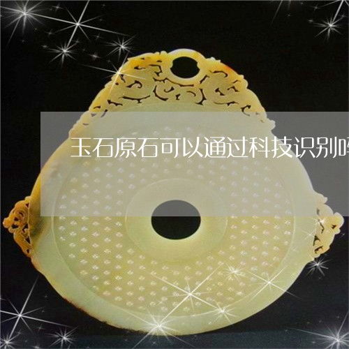 能否用科技识别玉石原石？